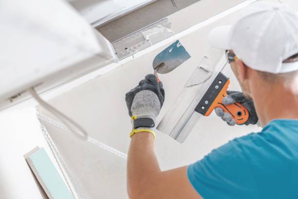 Best Asbestos and Lead Testing During Mold Inspection  in Bruce, MS